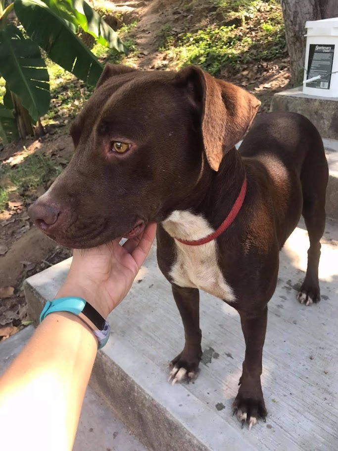 One of the first photographs of Nico, before he was adopted