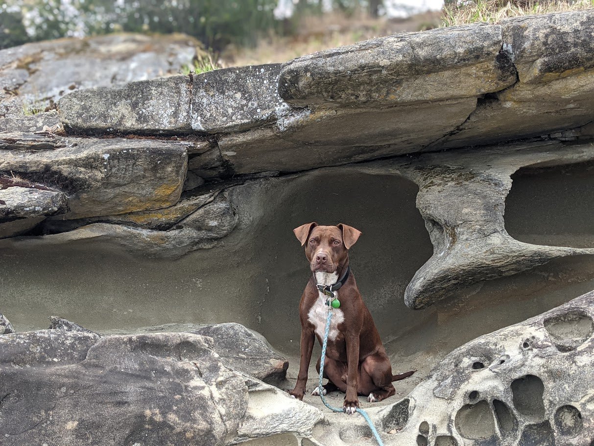 The Sandstone Annexation