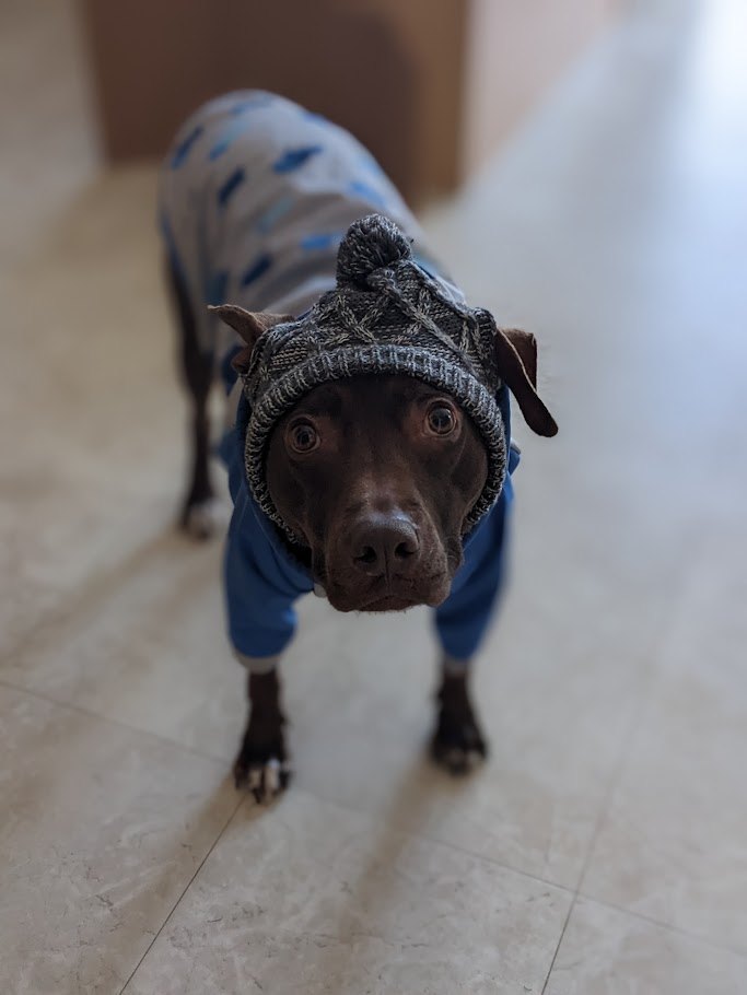 The Winter Uniform Trials