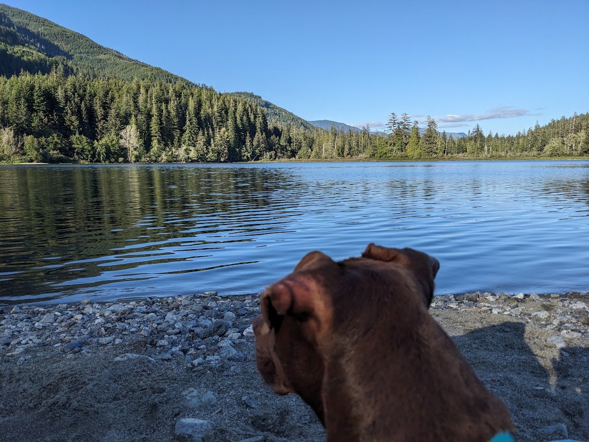 The Lake Deliberations