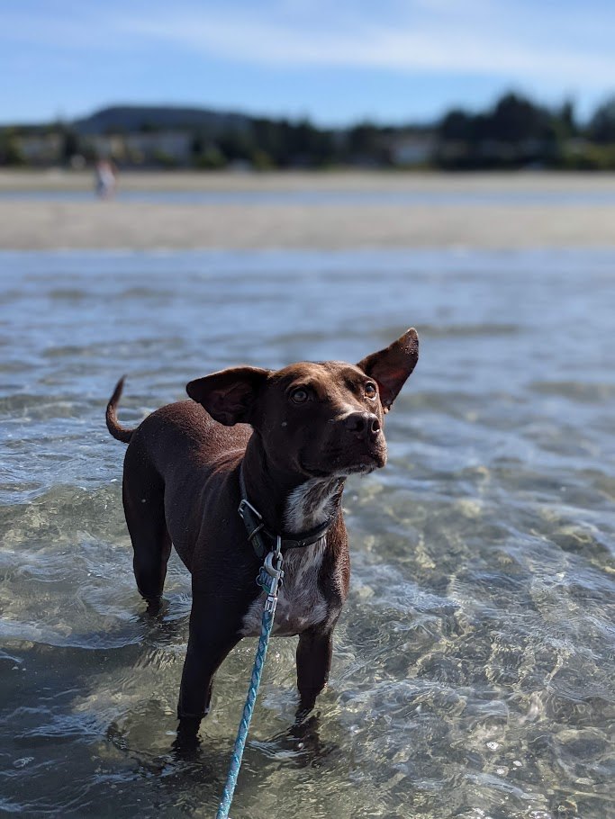 The Ear-Deployment Trials