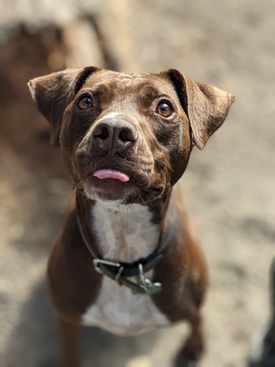 The Tongue Doctrine
