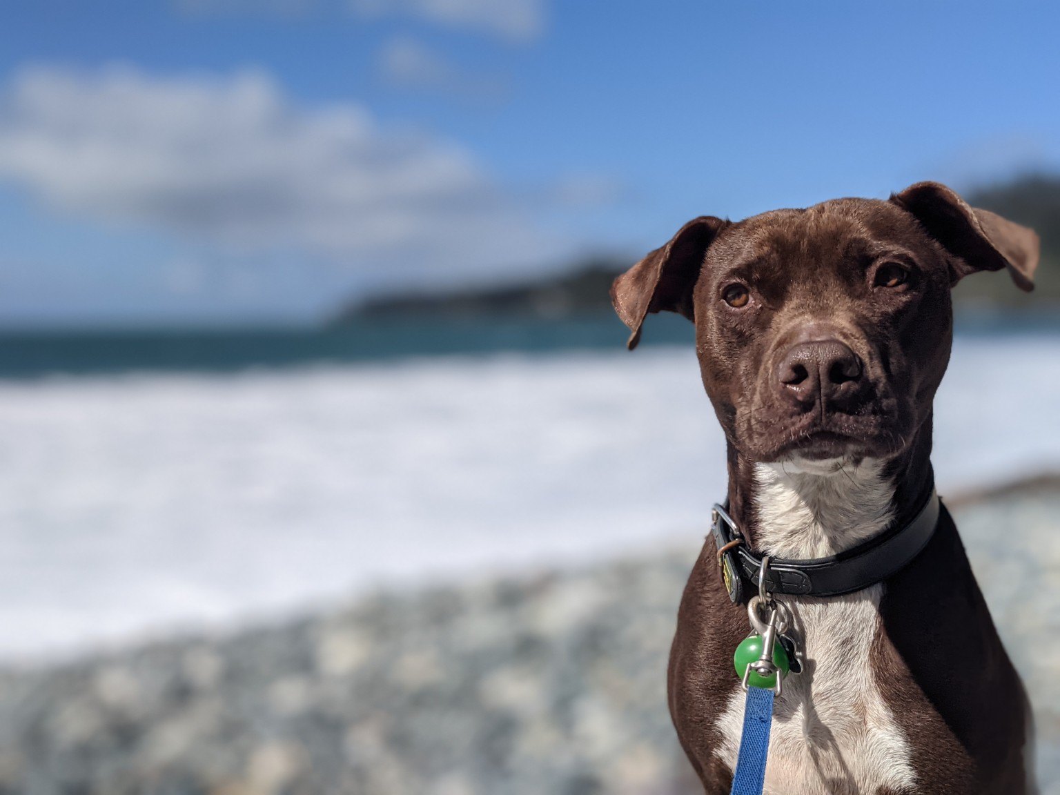 The Pacific Boundary Survey