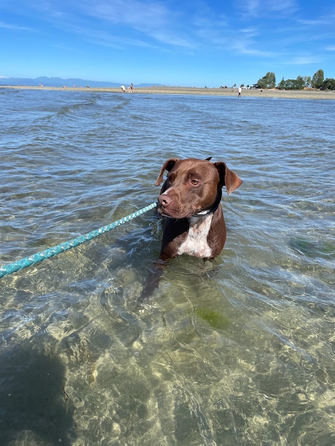 The Water Position Becomes Difficult to Defend