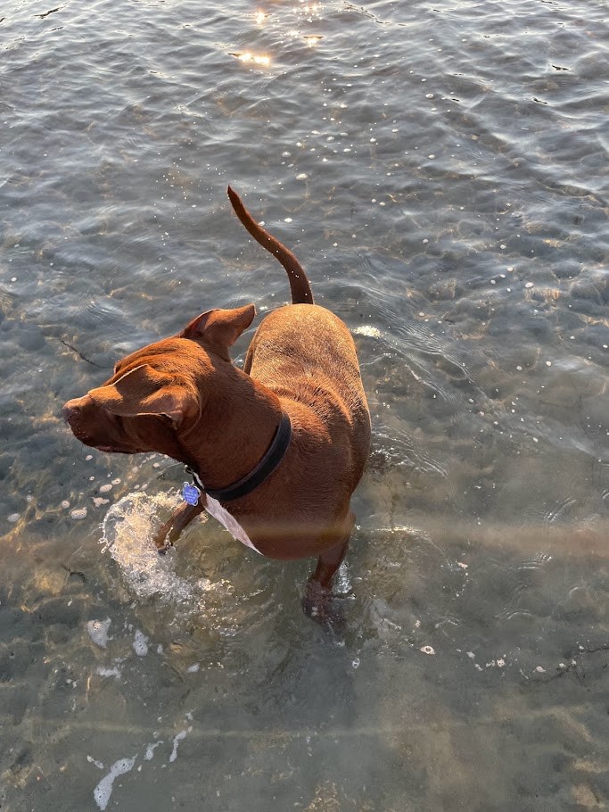 The Wading Exception