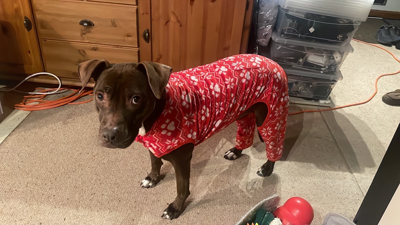Red Seasonal Pajamas