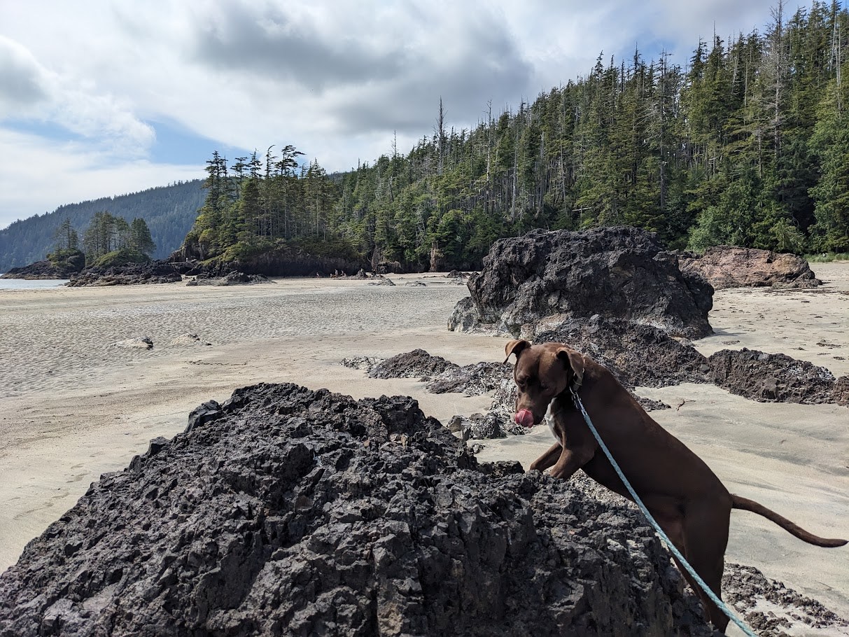 The Beachhead Inspection