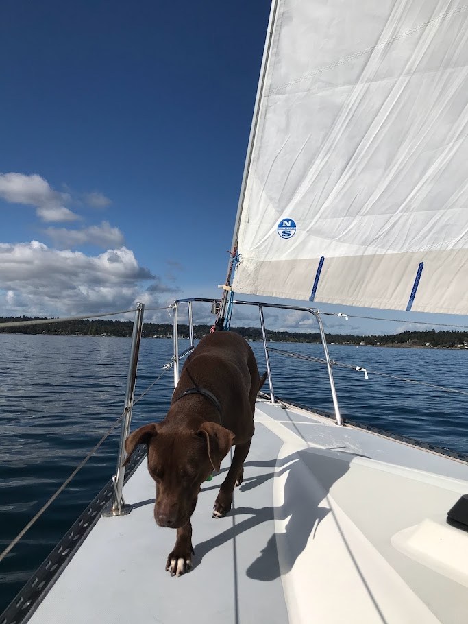 Sailboat Supervision