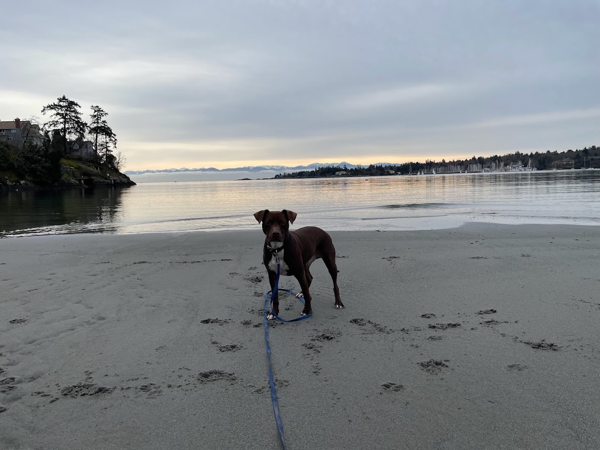 The Beach Office
