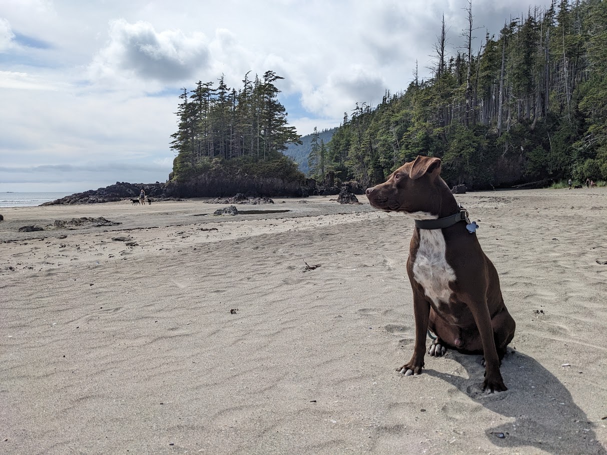 The Beach Office