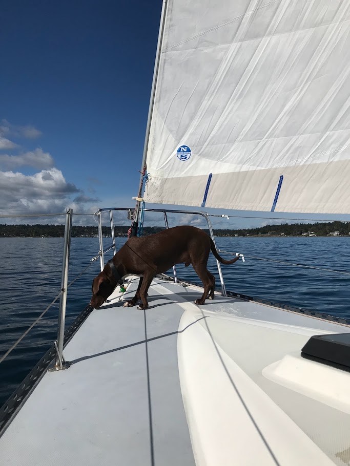 Sailboat Supervision