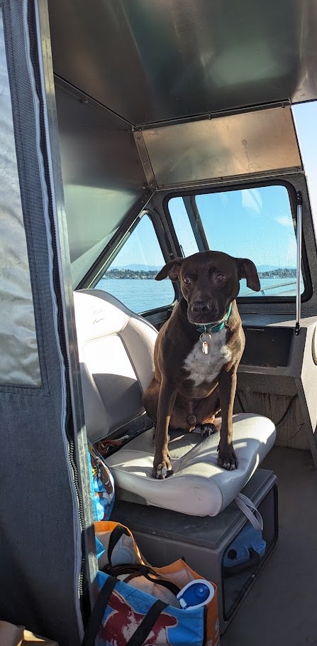 Maritime Seat Crossover
