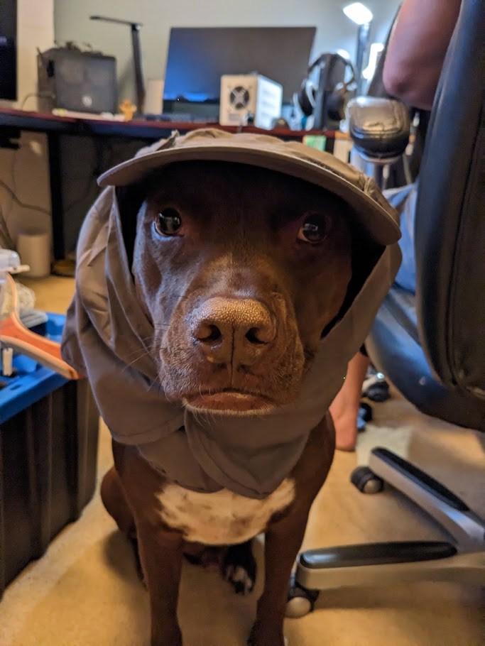 The Hooded Rain Proceeding