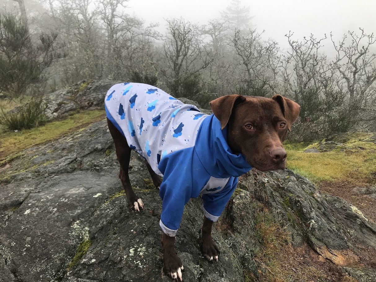 Blue Field Uniform