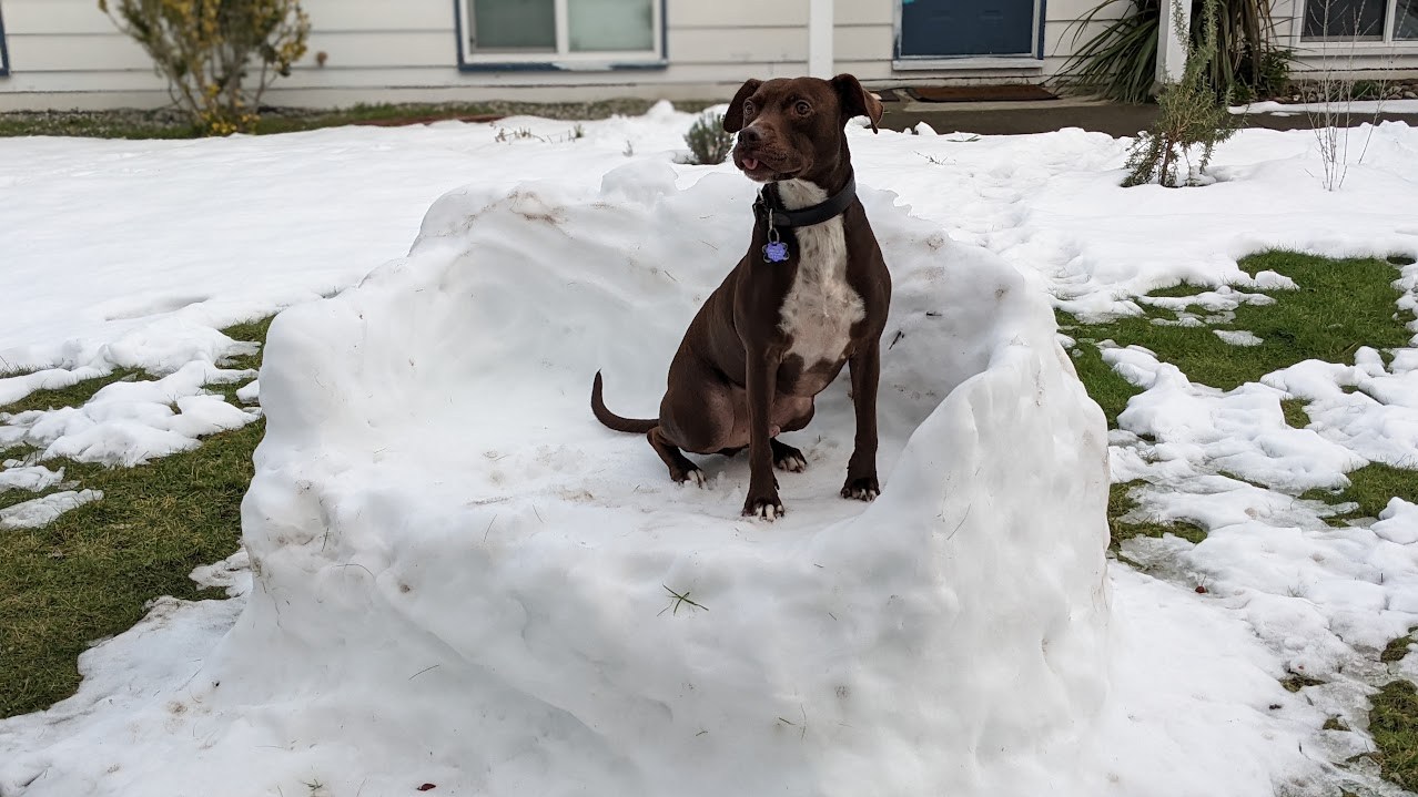 The Snow Throne