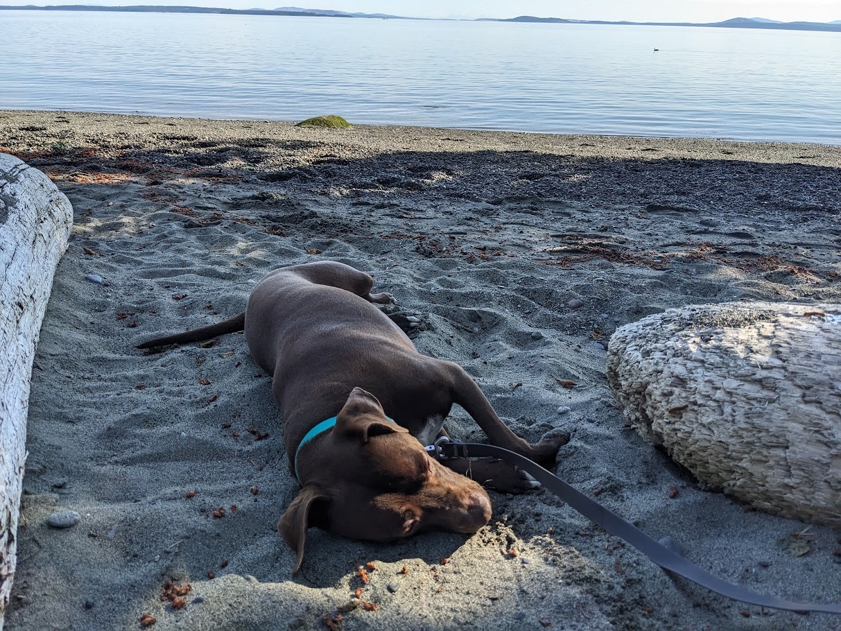 The Beach Recess