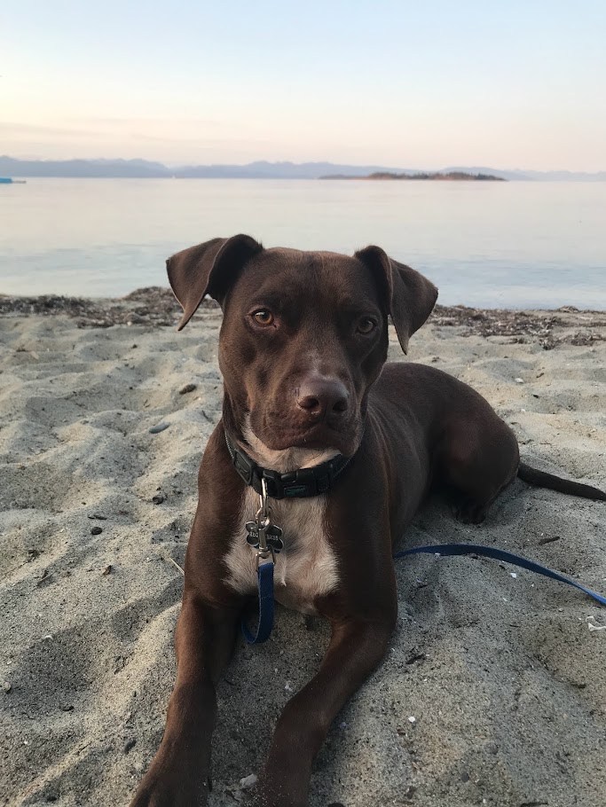 The Low-Tide Portrait