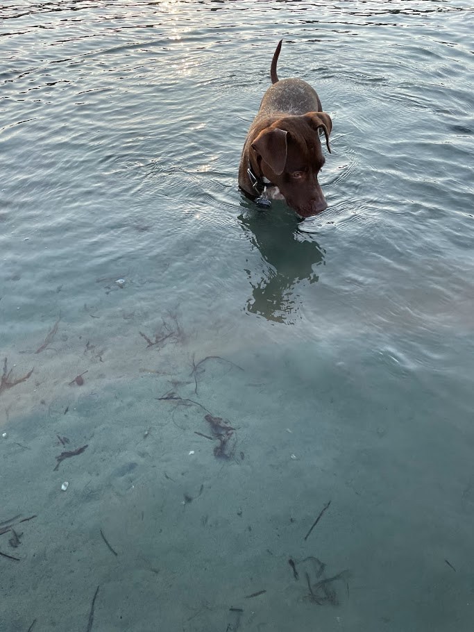 The Water Position Becomes Difficult to Defend