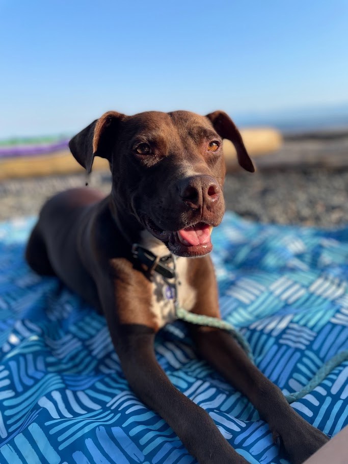 The Beach Office