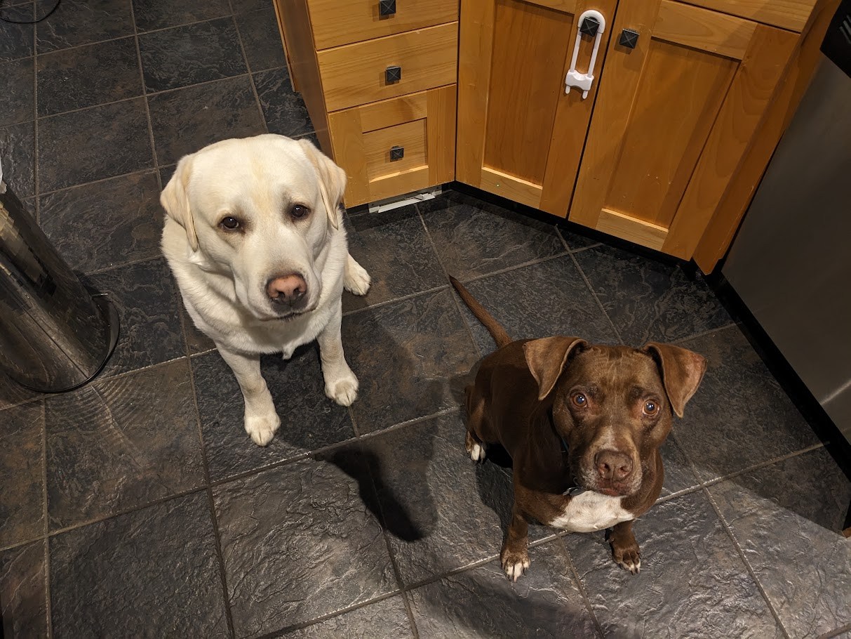 The Kitchen Summit