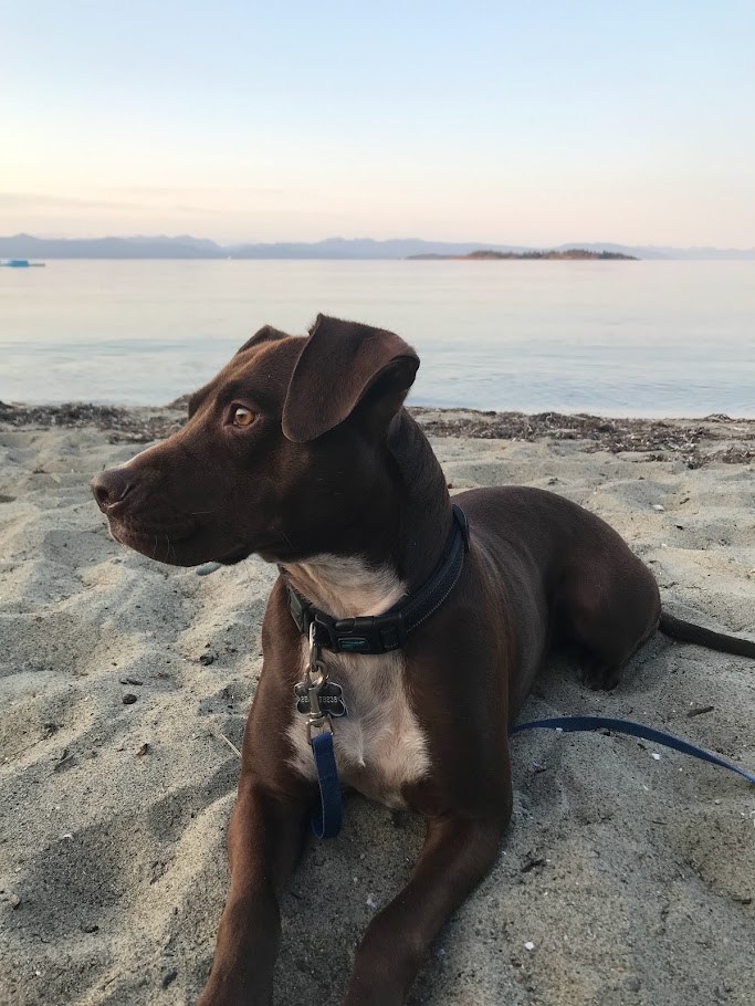 The Evening Shore Sitting