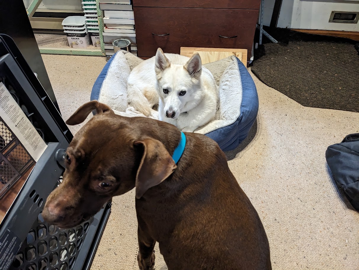 The Couch Treaty