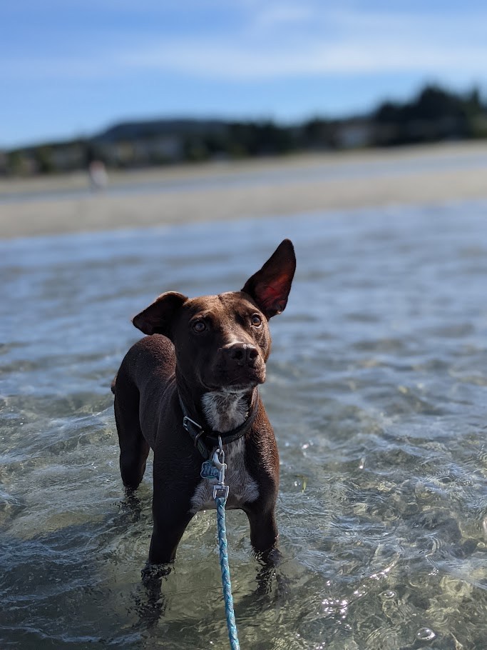 The Ear-Deployment Trials