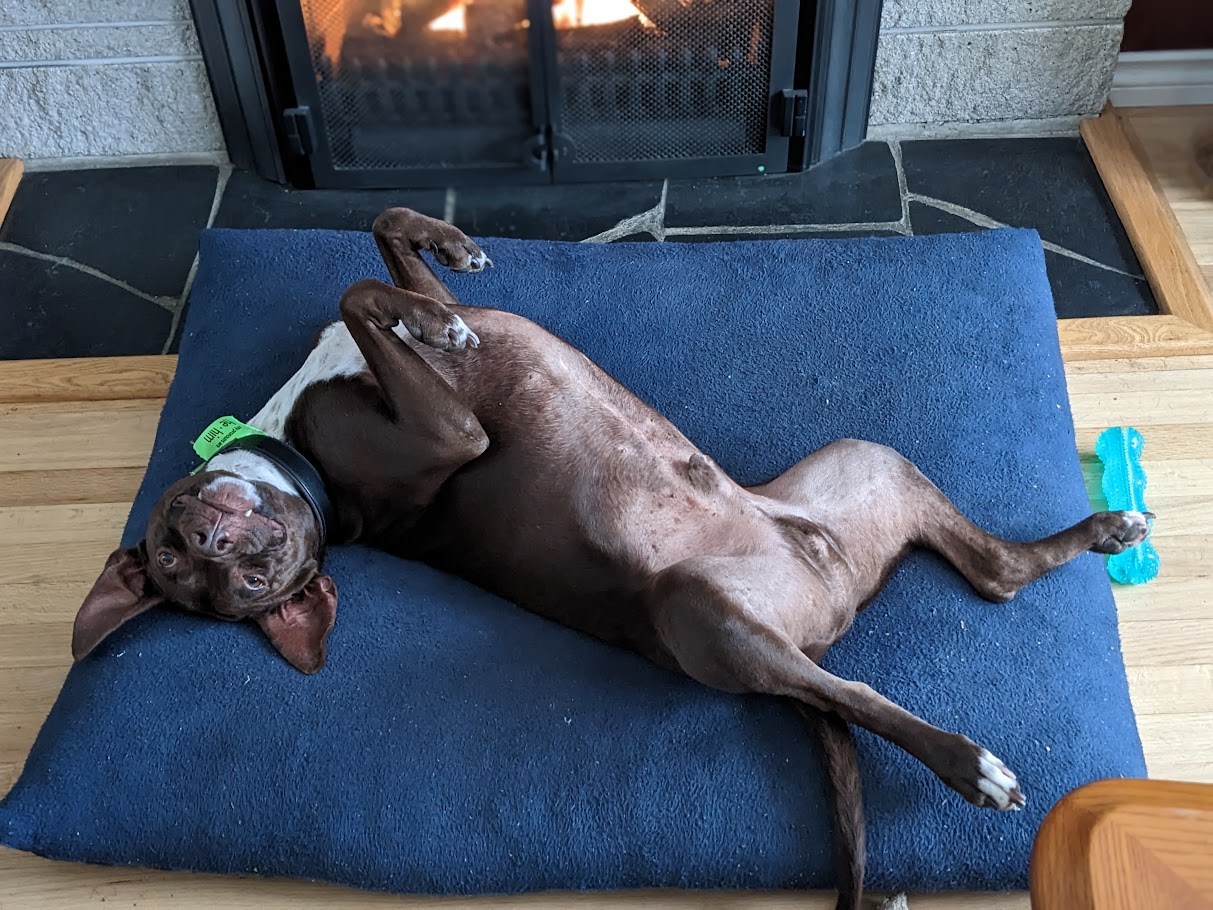Fireplace Operations