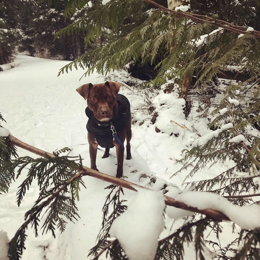 The Winter Branch Office