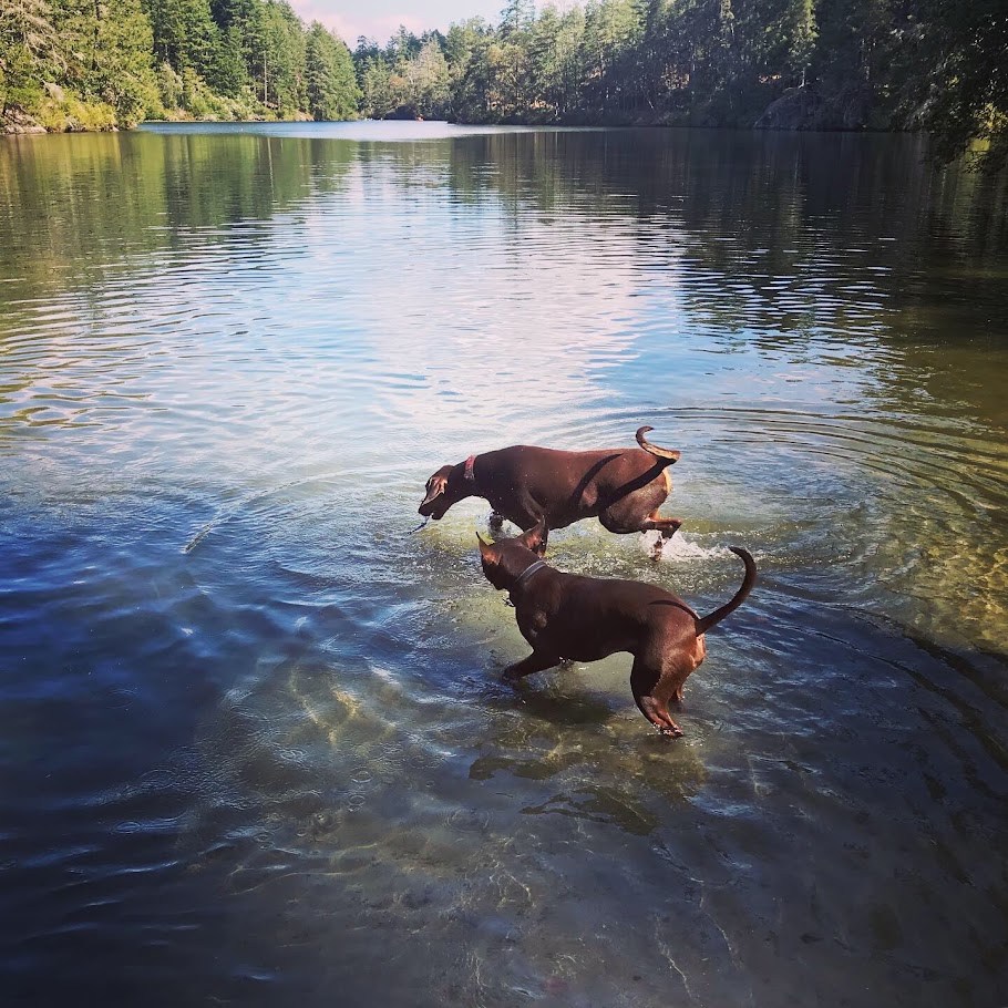 Joint Lake Manoeuvres