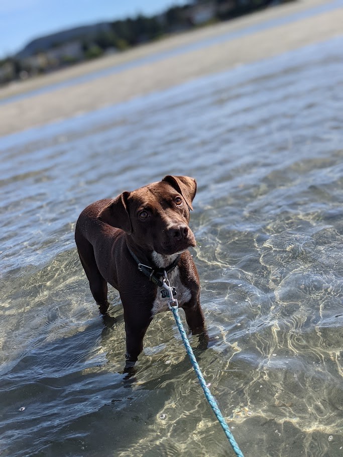 The Ear-Deployment Trials