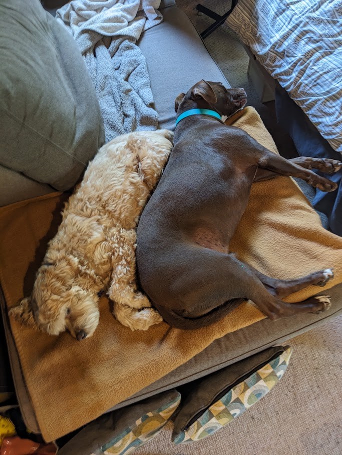 The Couch Treaty