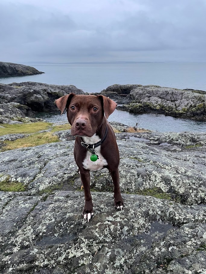 The Coastal Geology Programme