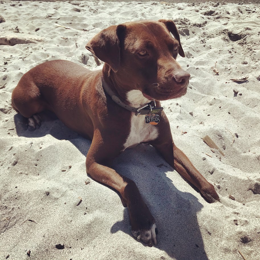 The Sand Rest Period