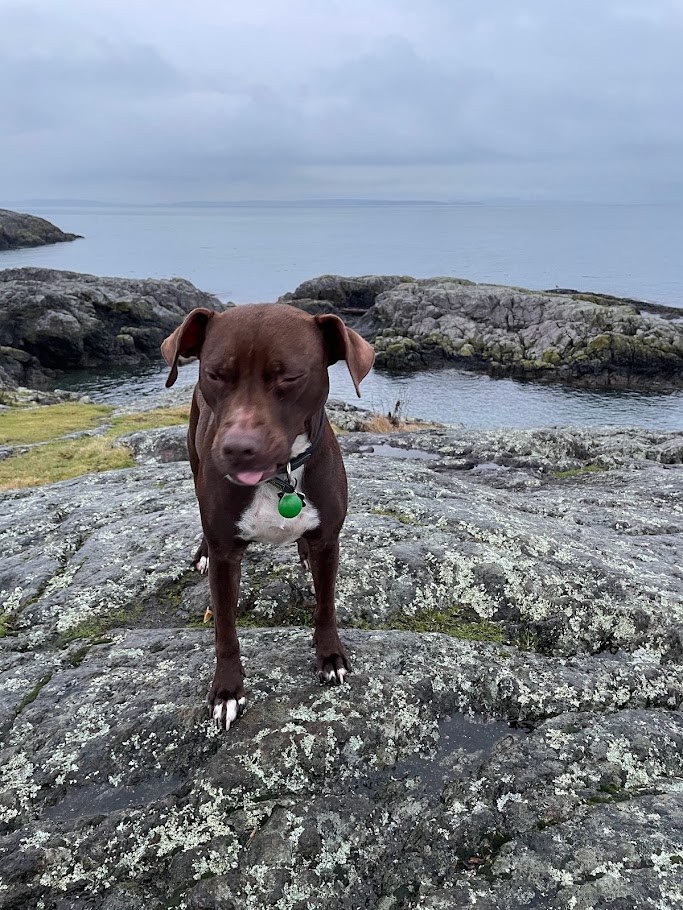 The Coastal Geology Programme