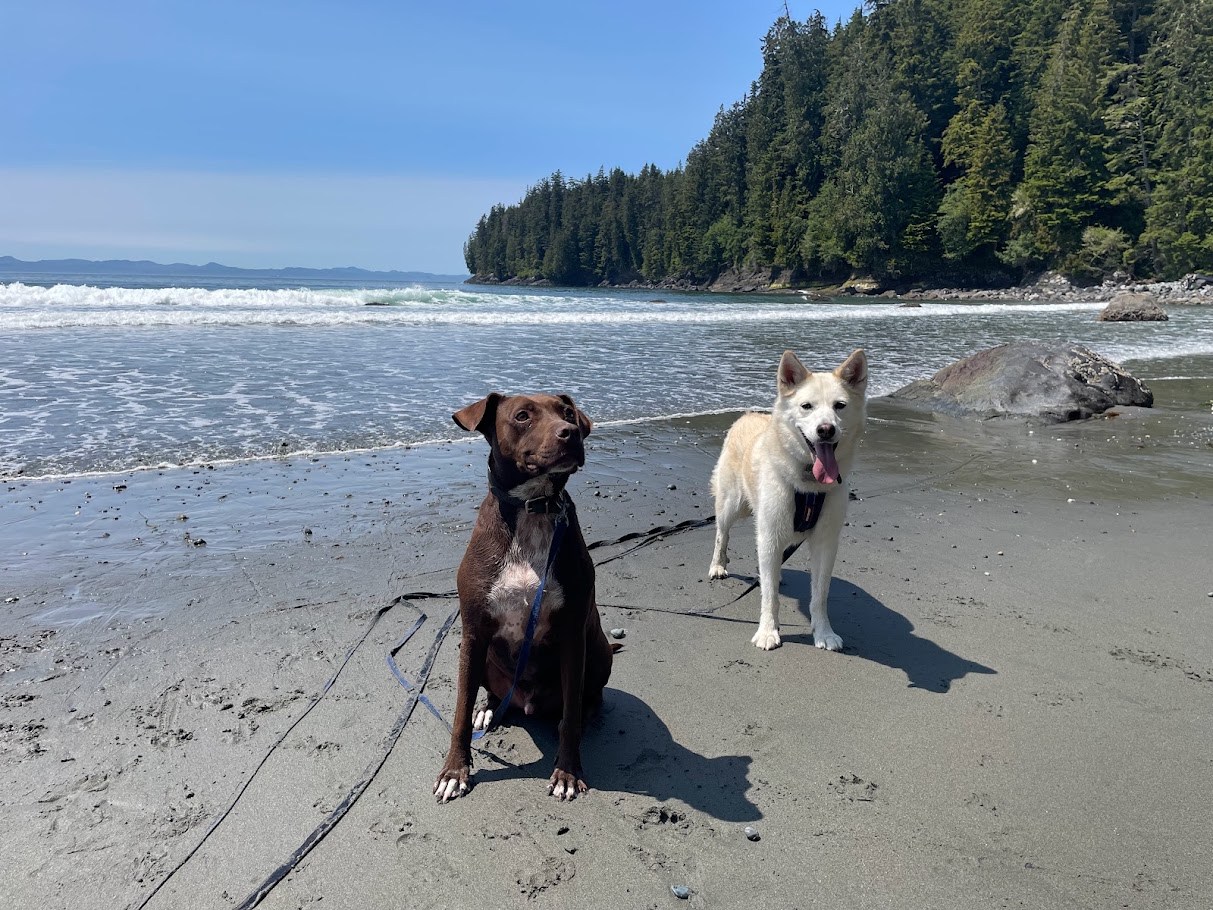 The Beach Delegation